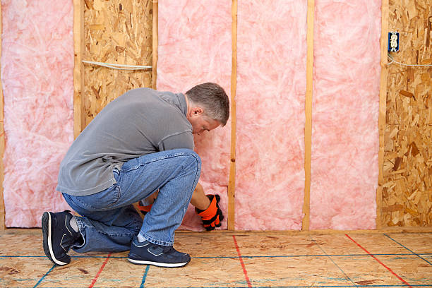 Best Commercial Insulation in Santa Clarita, CA